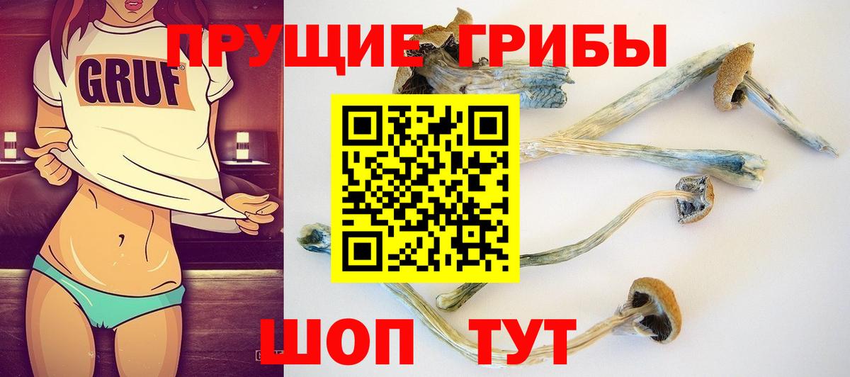 Волжский  Галлюциногенные грибы мицелий  Вход с VPN 